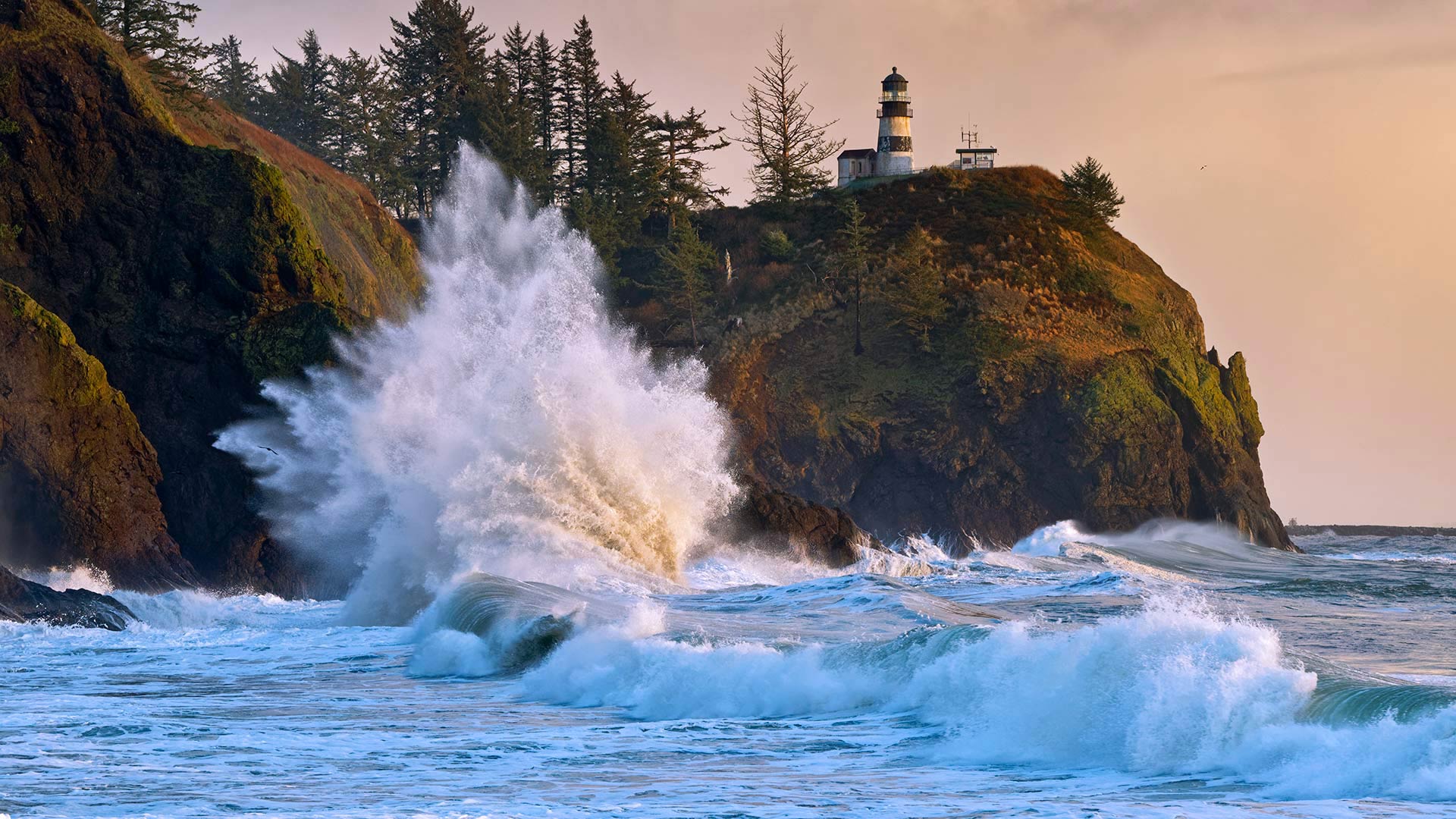 Cape Disappointment