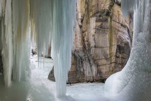 Frozen Maligne