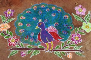 Pongal Peacock