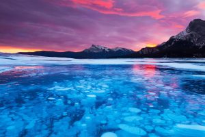 Alberta Bubbles