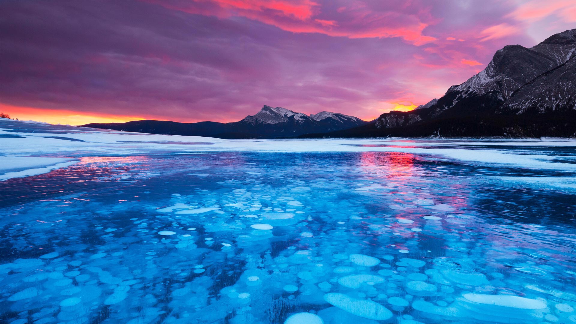 Alberta Bubbles