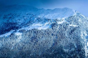 Alps Winter