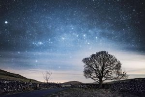 Malham Stars