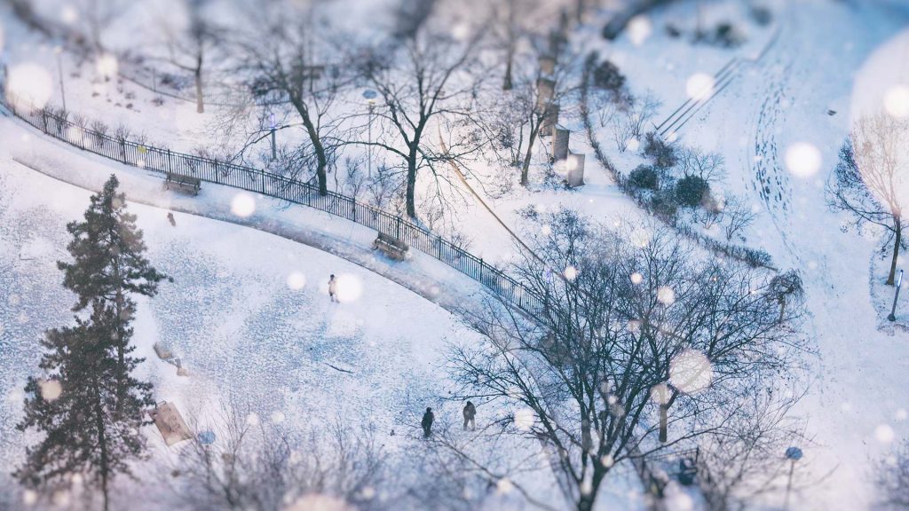 Snowy Toronto