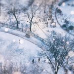 Snowy Toronto