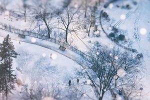 Snowy Toronto