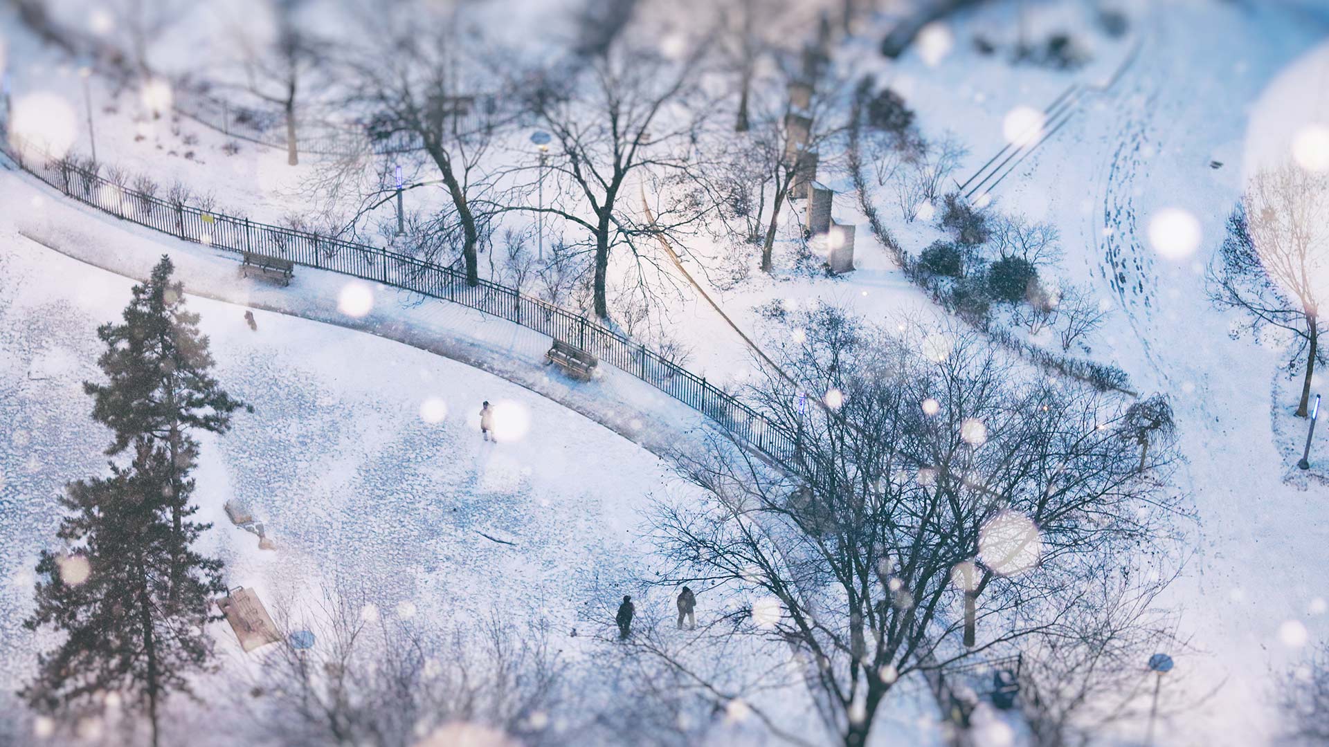 Snowy Toronto