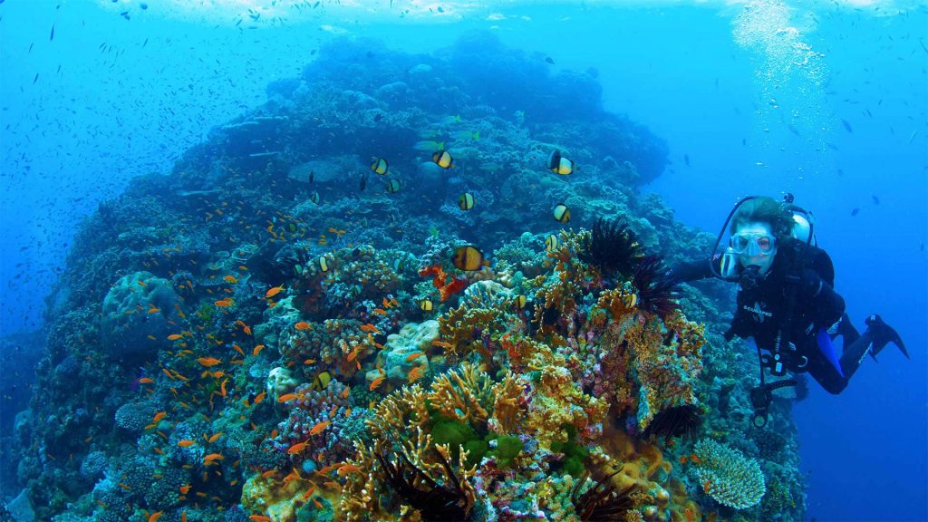 Sylvia Earle