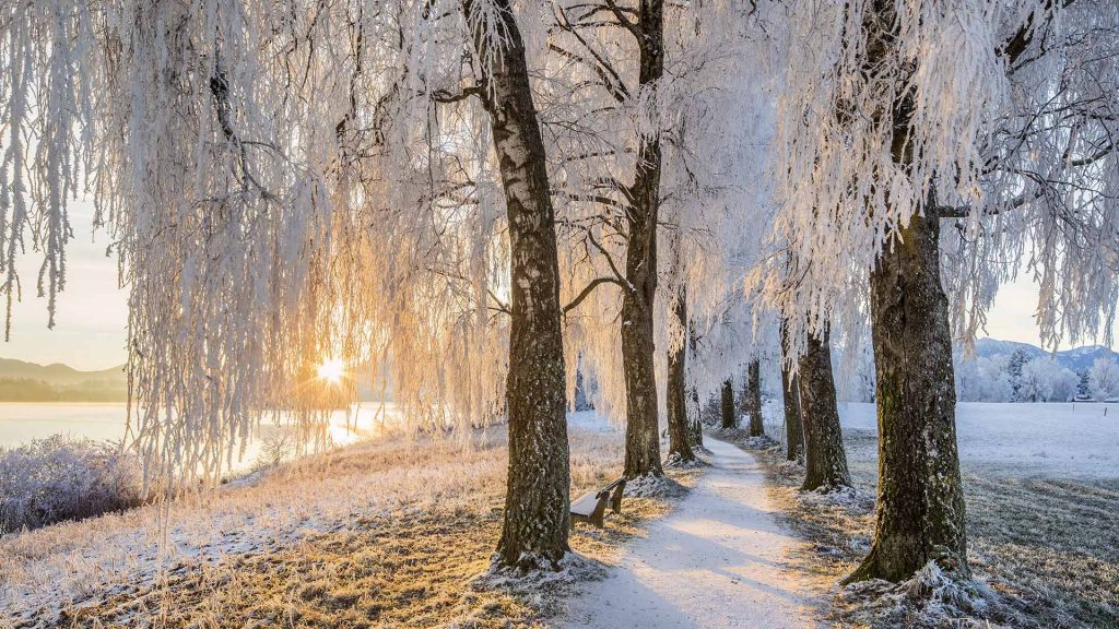 Uffing Staffelsee Winter