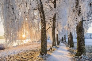 Uffing Staffelsee Winter