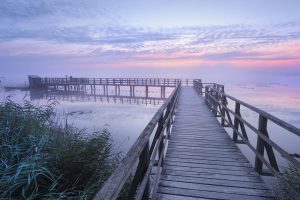 Federsee Lake