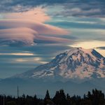 Lenticular Video