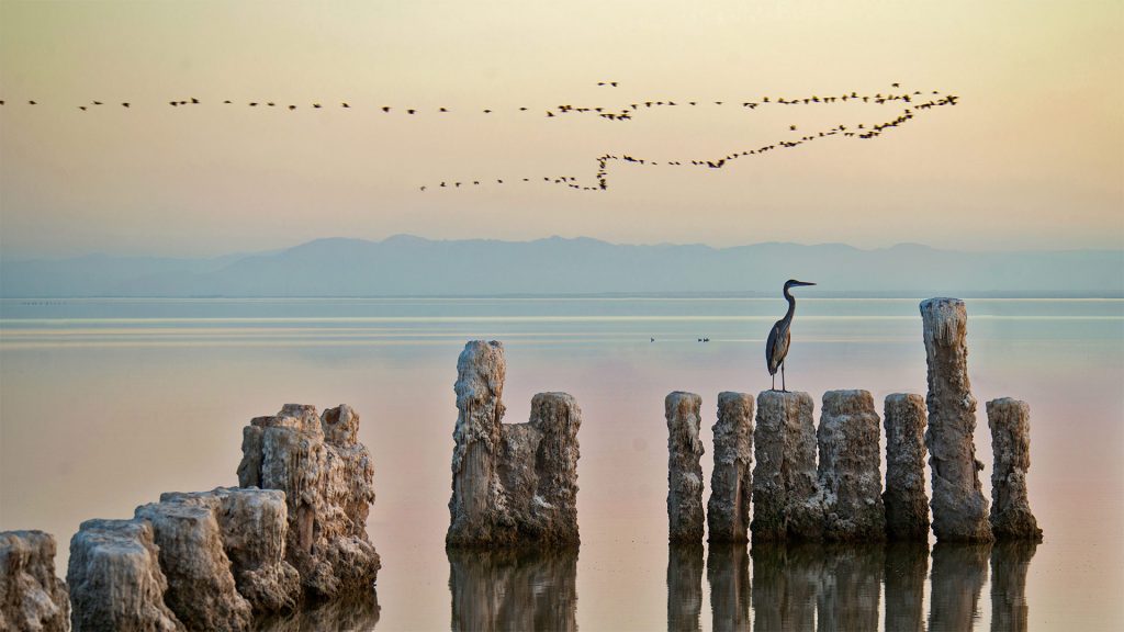 Salton Sea