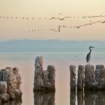 Salton Sea