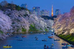 Tokyo Moat