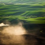 Palouse Spring