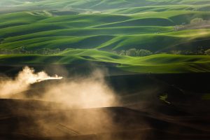 Palouse Spring