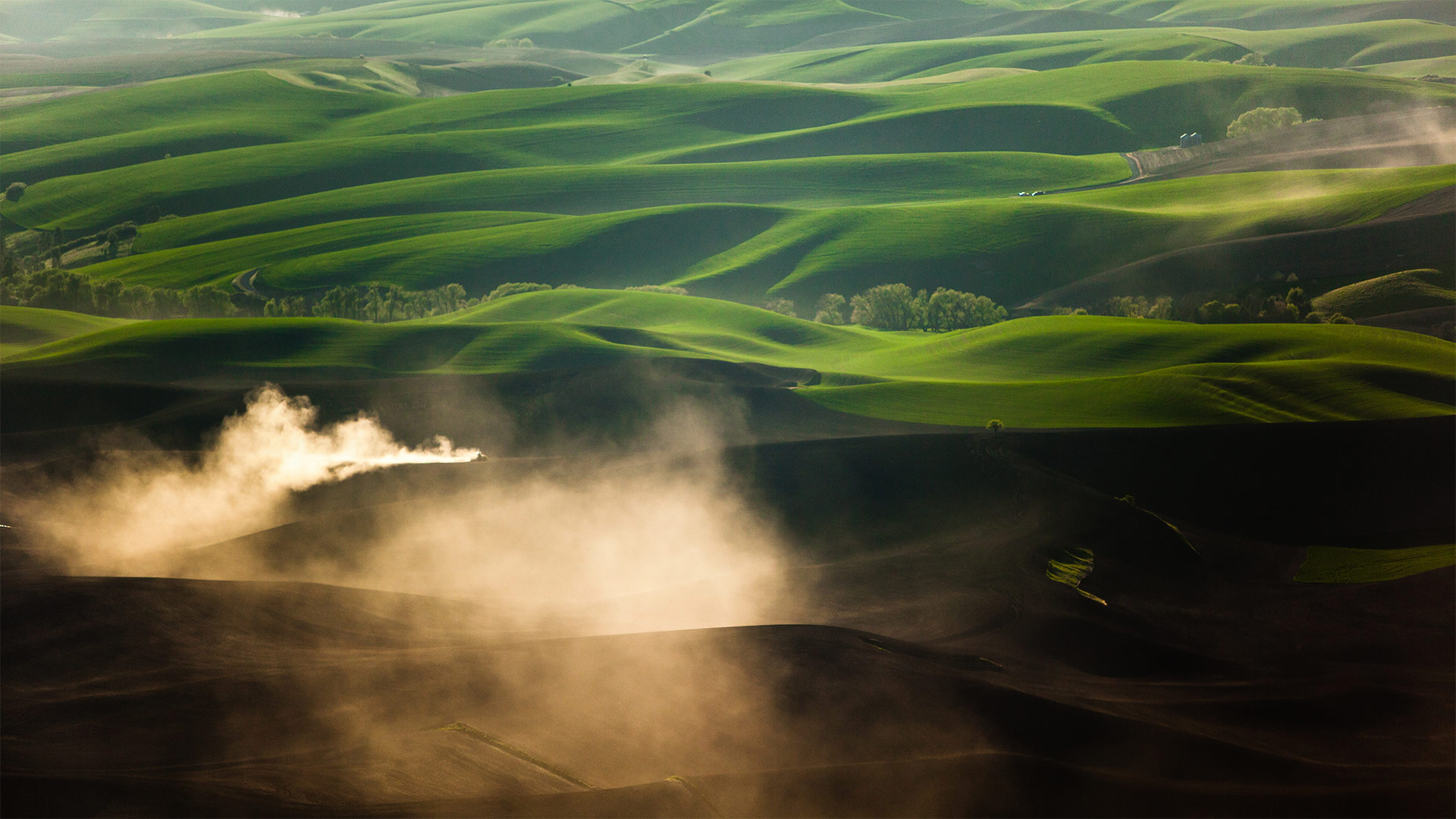 Palouse Spring