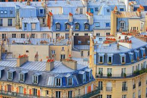 Parisian Roofs