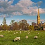 Salisbury Cathedral