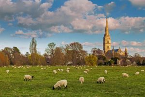 Salisbury Cathedral