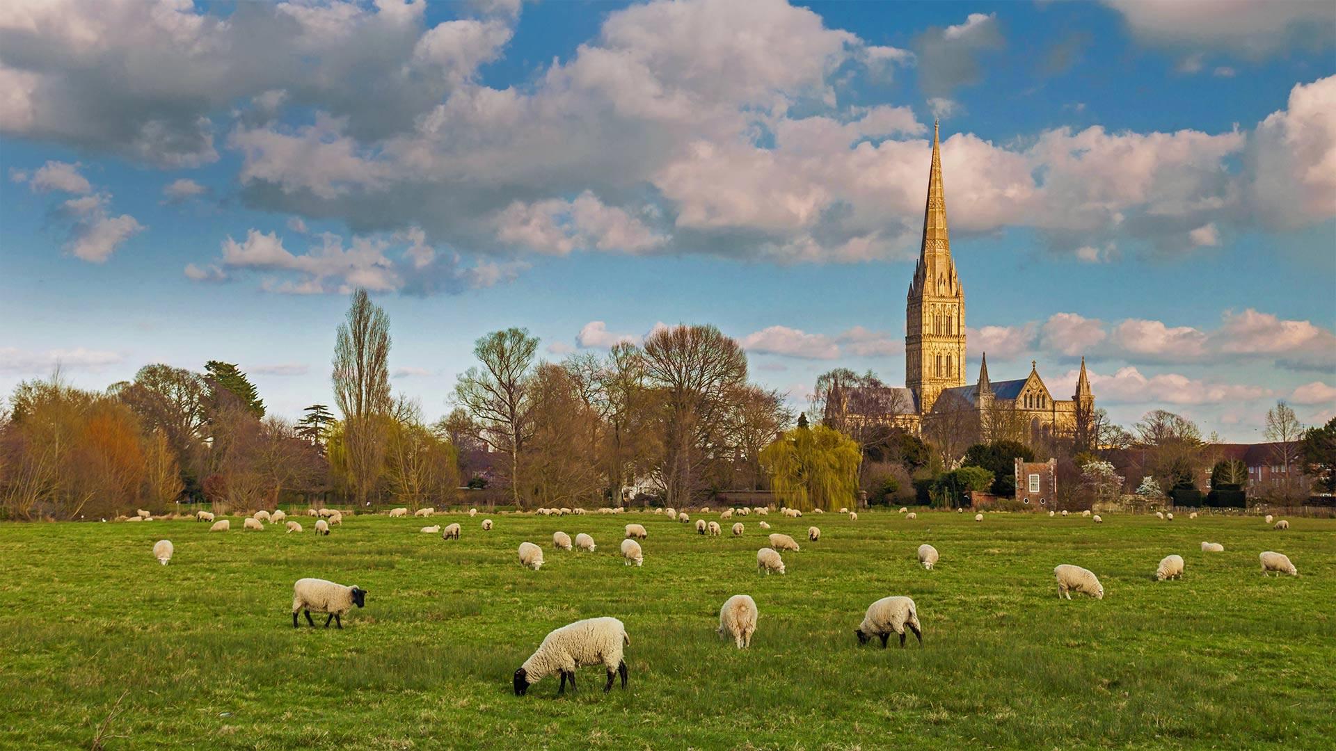 Salisbury Cathedral