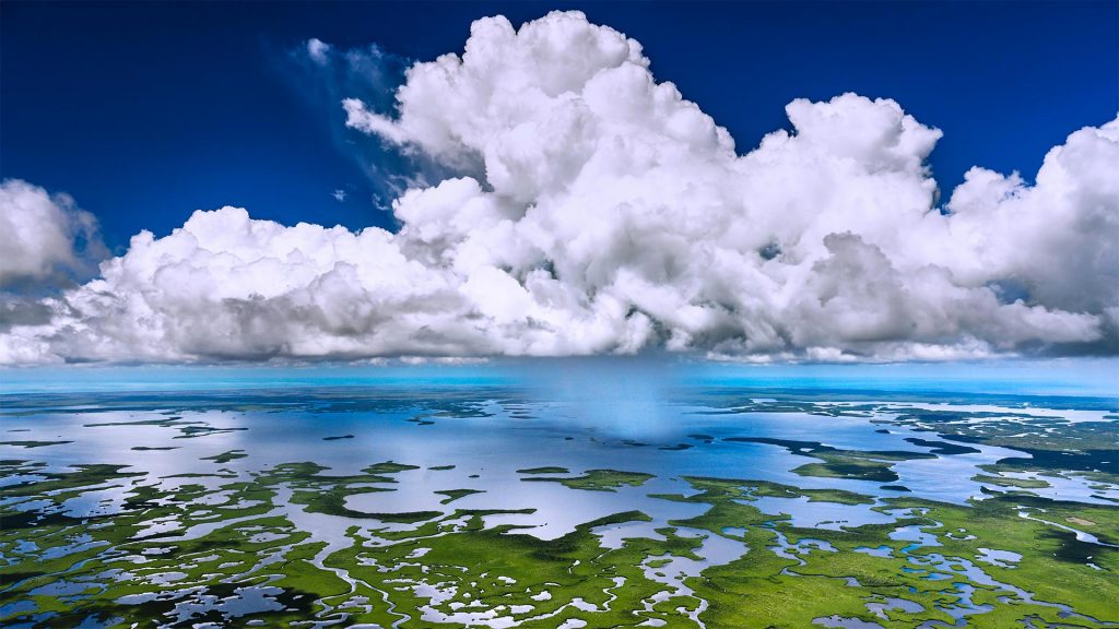 Everglades Showers