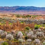 Kasbah Roses