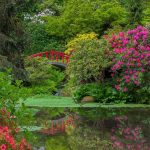 Kubota Garden