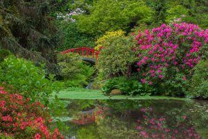 Kubota Garden