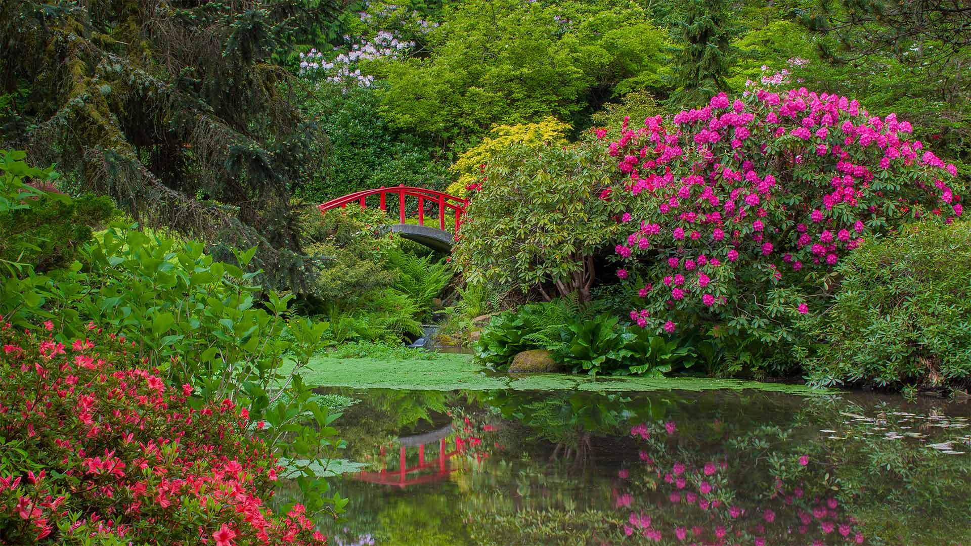 Kubota Garden