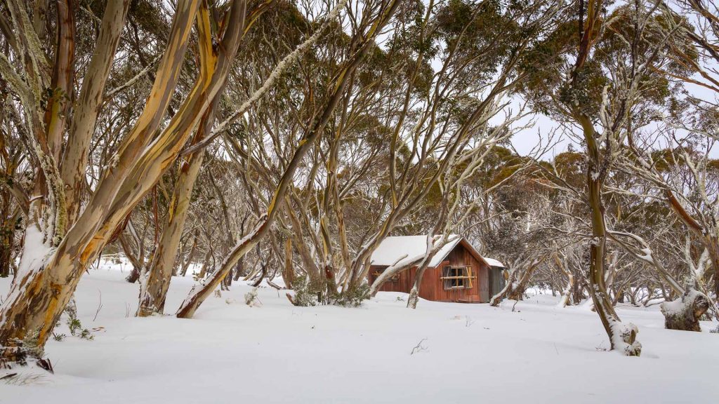 Cattlemans Hut