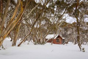 Cattlemans Hut