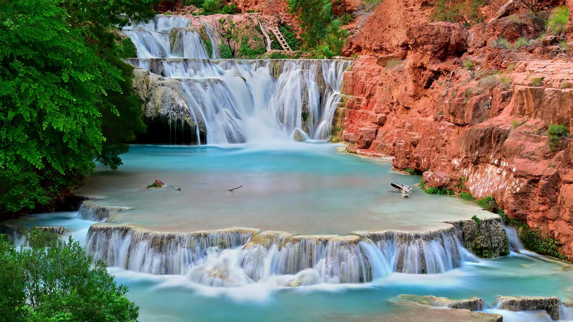 Havasupai