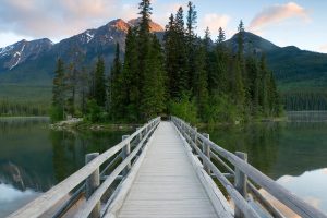 Pyramid Lake Jasper