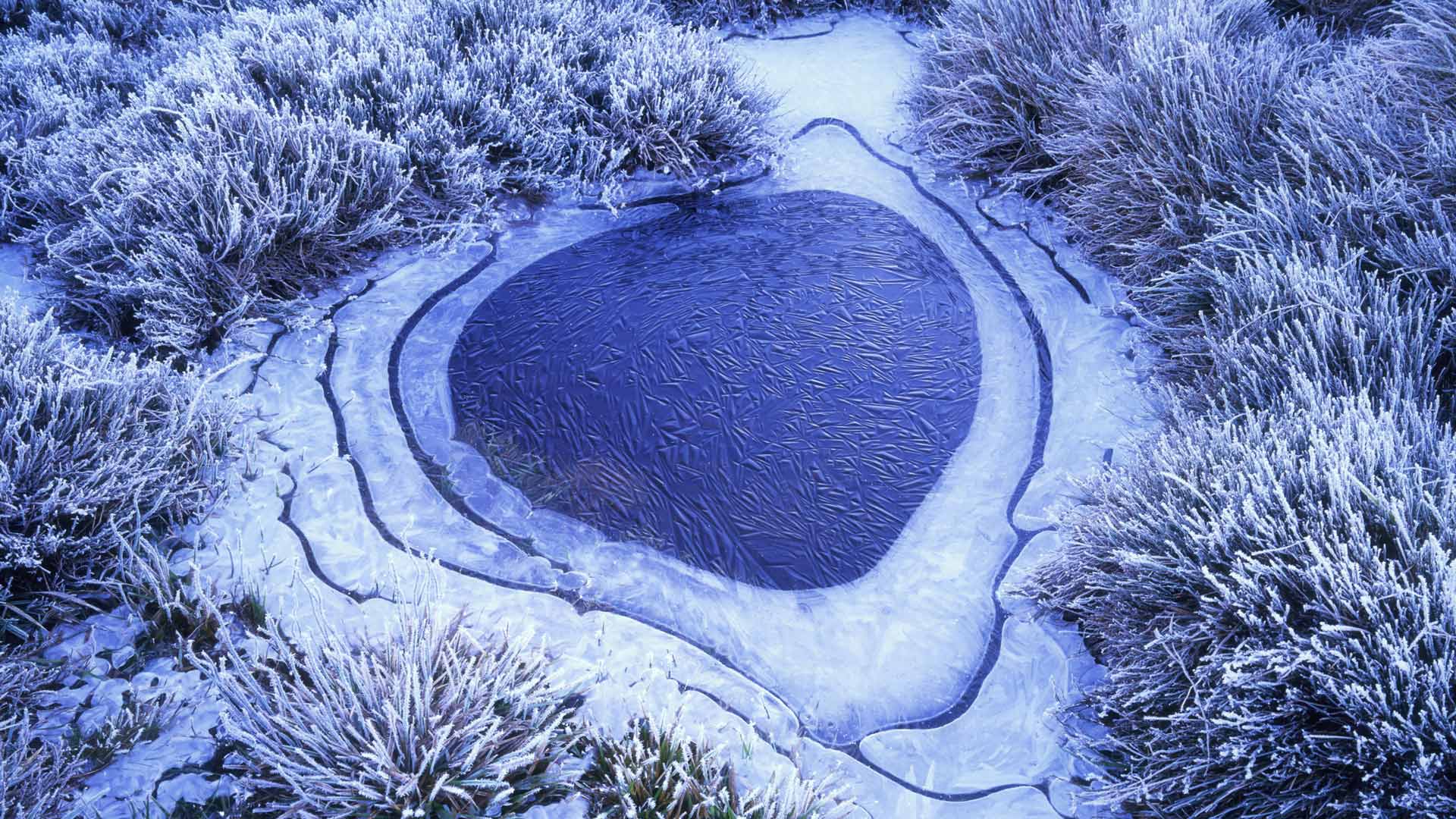 Tasmania Tarn