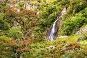 Aber Falls