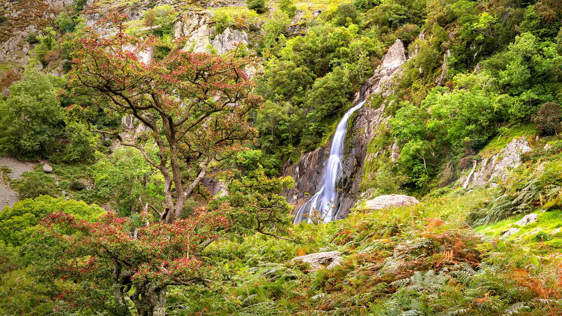 Aber Falls