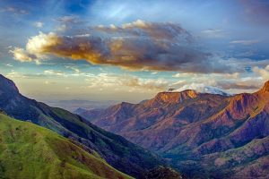 Munnar Hills