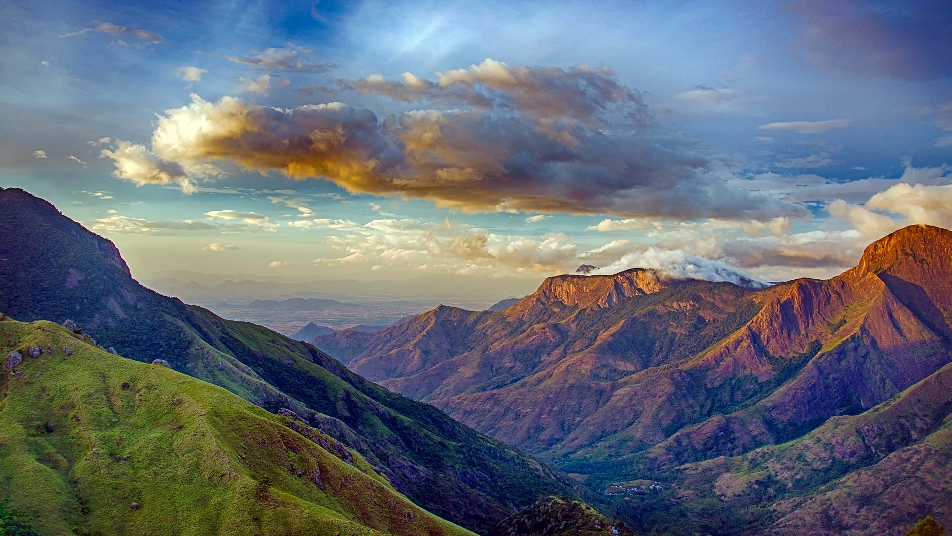 Munnar Hills