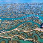 Tollesbury Saltings