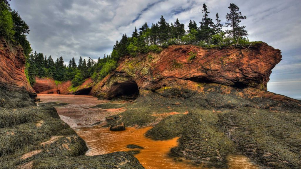 Acadian Day