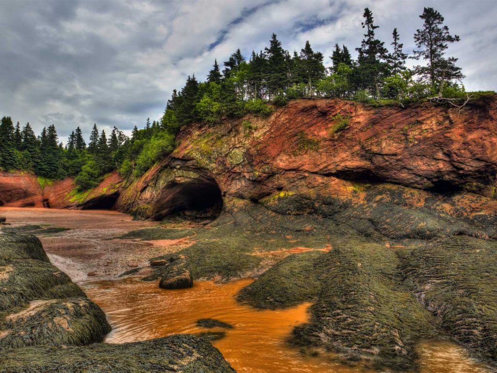 Acadian Day Bing Wallpaper Download