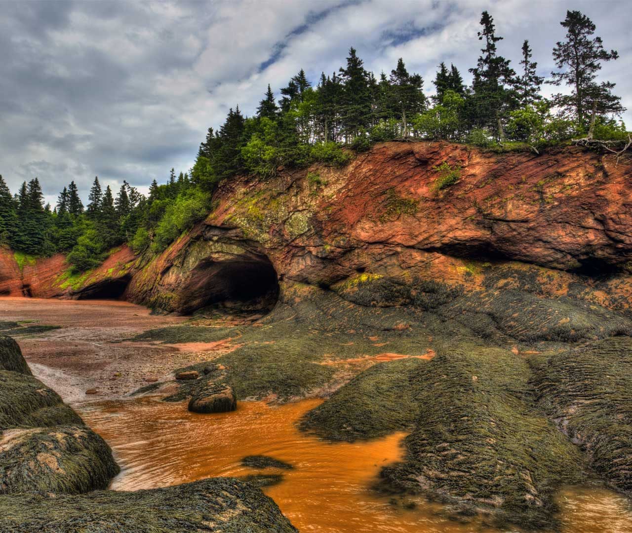 Acadian Day Bing Wallpaper Download