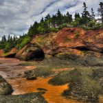 Acadian Day