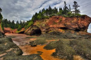 Acadian Day