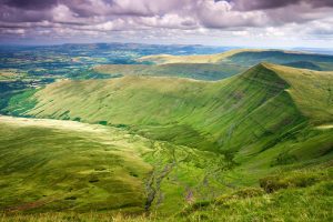 Cribyn View