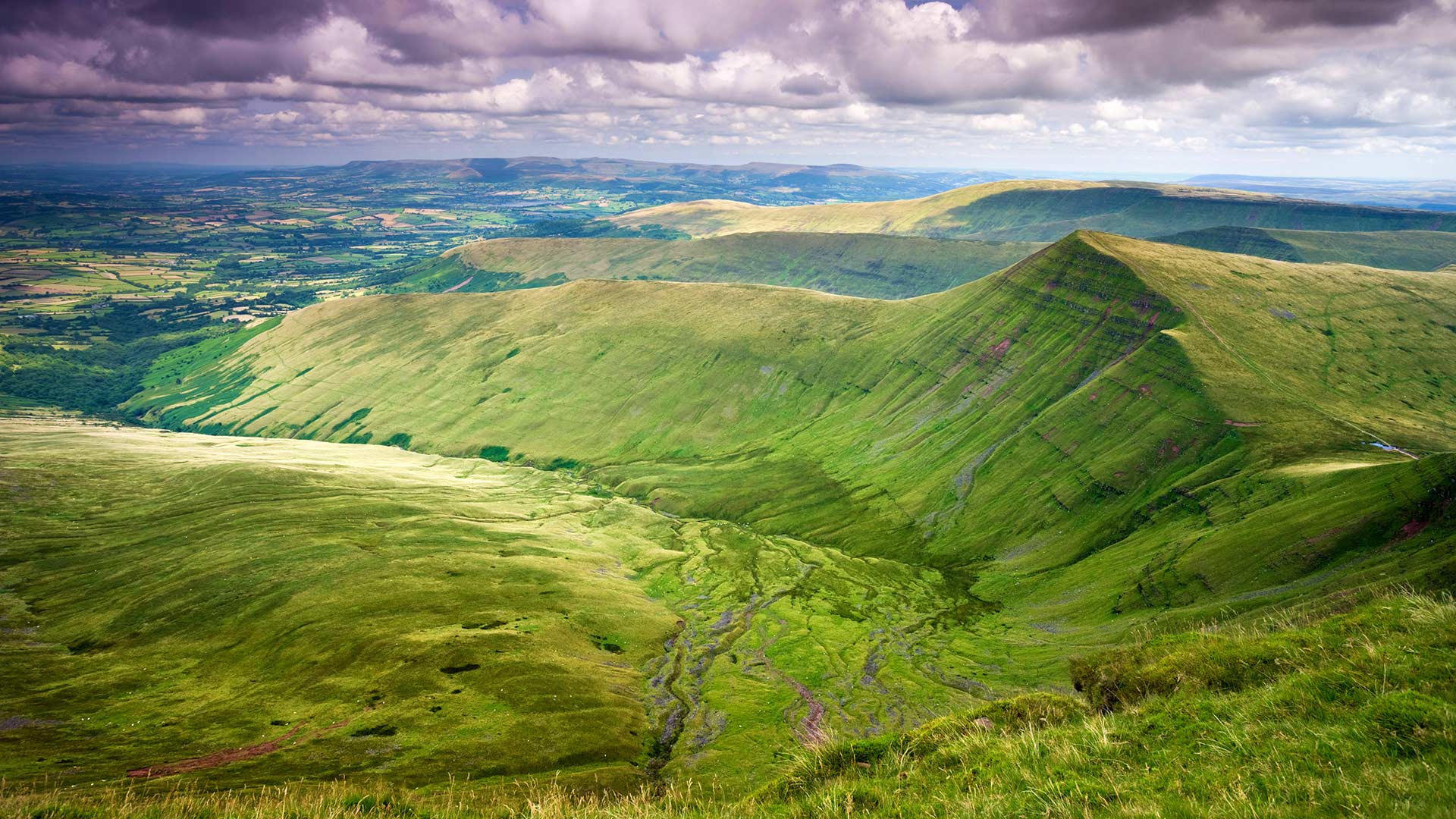 Cribyn View