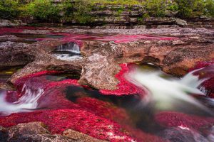 Crystal River