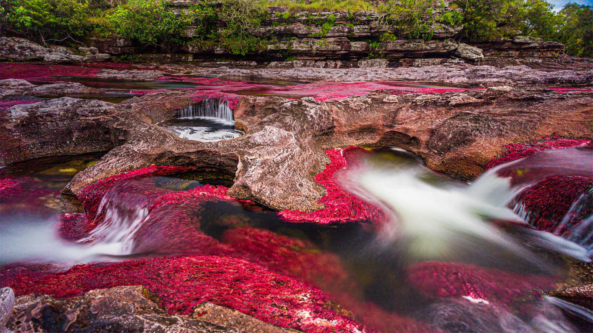 Crystal River